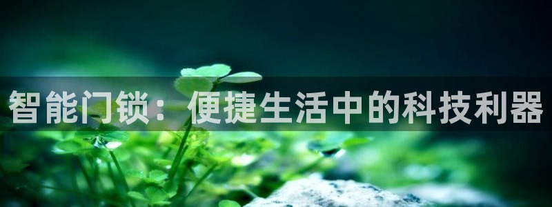 开丰娱乐官网登录网址：智能门锁：便捷生活中的科技利器