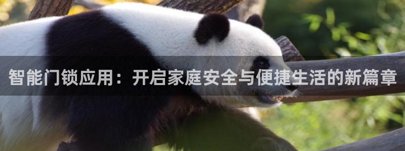 开丰娱乐趣 7O935：智能门锁应用：开启家庭安全与便捷生活
