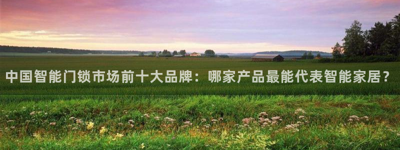 开丰娱乐后7O667：中国智能门锁市场前十大品牌：哪家产品最