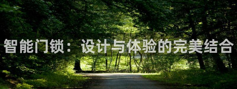 开丰娱乐平台提现失败：智能门锁：设计与体验的完美结合