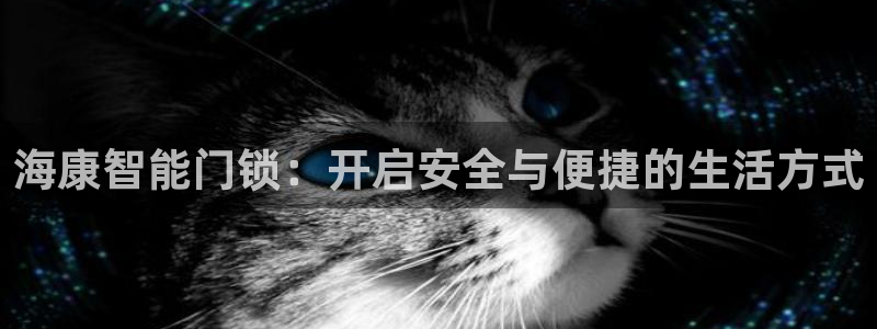 开丰娱乐测速：海康智能门锁：开启安全与便捷的生活方式