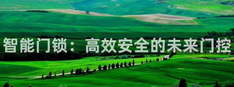 开丰娱乐趣 7O935：智能门锁：高效安全的未来门控