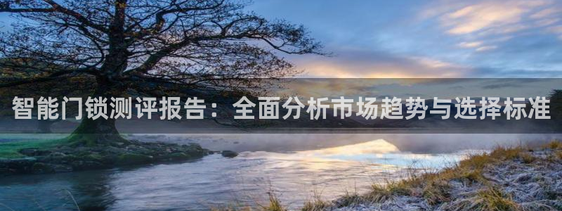 开丰娱乐前：智能门锁测评报告：全面分析市场趋势与选择标准