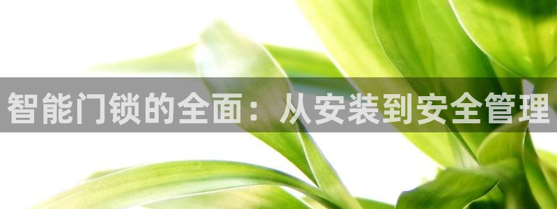 开丰娱乐app：智能门锁的全面：从安装到安全管理