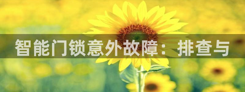开丰娱乐手机app：智能门锁意外故障：排查与