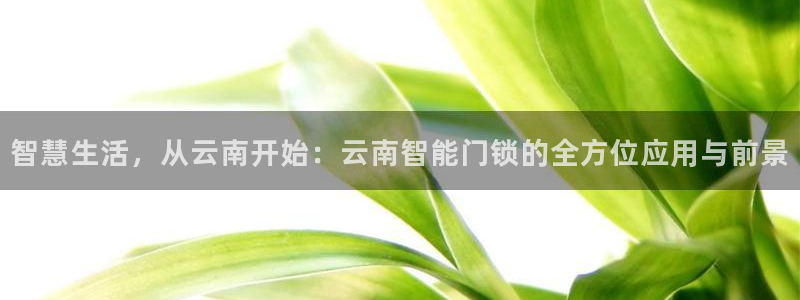 开丰娱乐官网首页：智慧生活，从云南开始：云南智能门锁的全方位