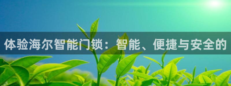 开丰娱乐登入地址：体验海尔智能门锁：智能、便捷与安全的
