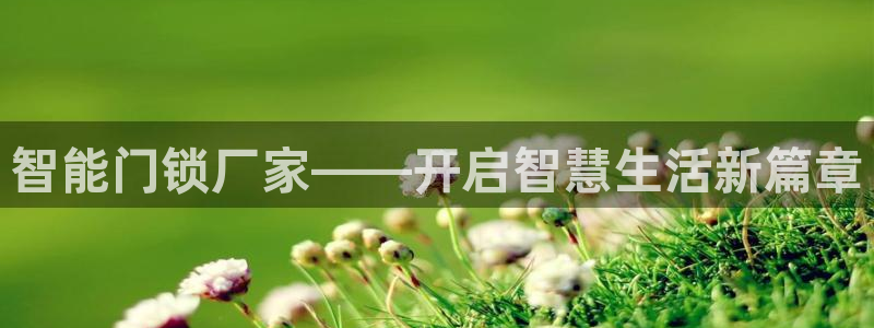 开丰娱乐怎么开转点：智能门锁厂家——开启智慧生活新篇章