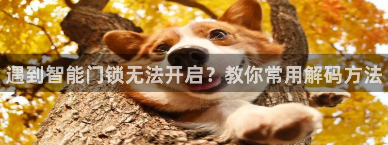开丰娱乐更多平台：遇到智能门锁无法开启？教你常用解码方法