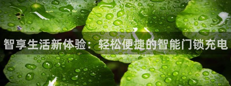 开丰娱乐于六七五一38：智享生活新体验：轻松便捷的智能门锁充