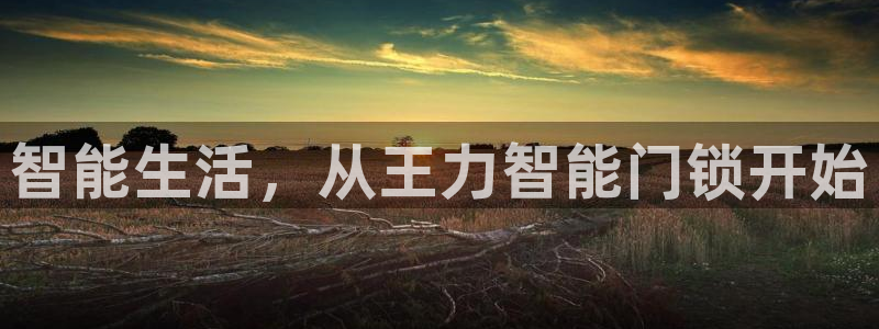 开丰娱乐登入地址在哪里：智能生活，从王力智能门锁开始