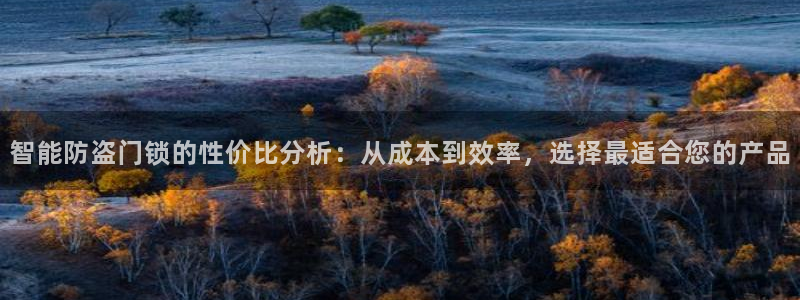 开丰娱乐体育平台：智能防盗门锁的性价比分析：从成本到效率，选