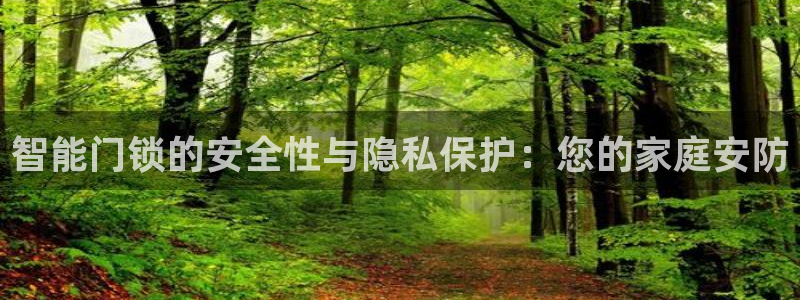 如何注册开丰娱乐账号：智能门锁的安全性与隐私保护：您的家庭安