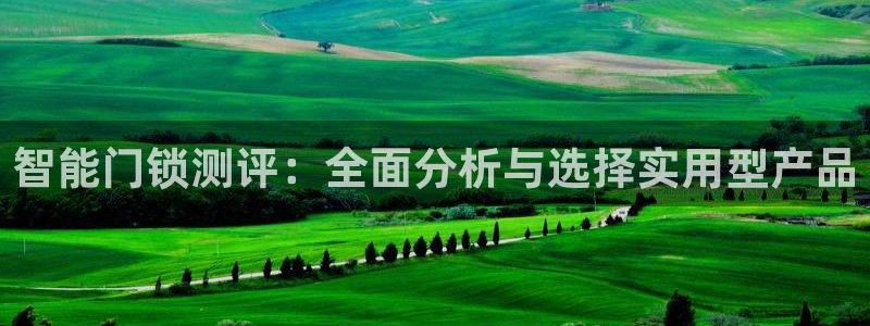 开丰娱乐后：智能门锁测评：全面分析与选择实用型产品