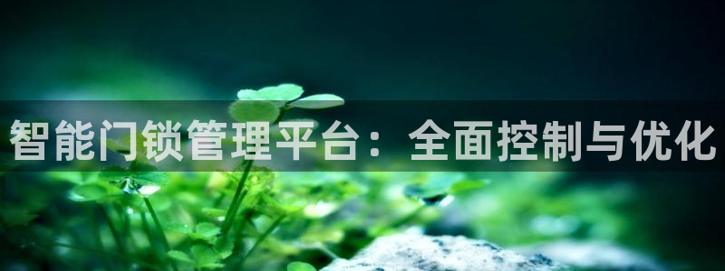 开丰娱乐平台官网网址：智能门锁管理平台：全面控制与优化