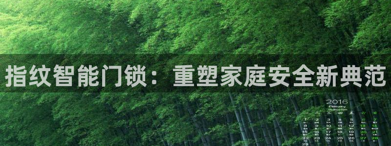 开丰娱乐趣 7O935：指纹智能门锁：重塑家庭安全新典范