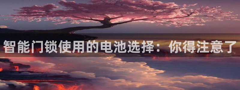 开丰娱乐登录平台下载：智能门锁使用的电池选择：你得注意了