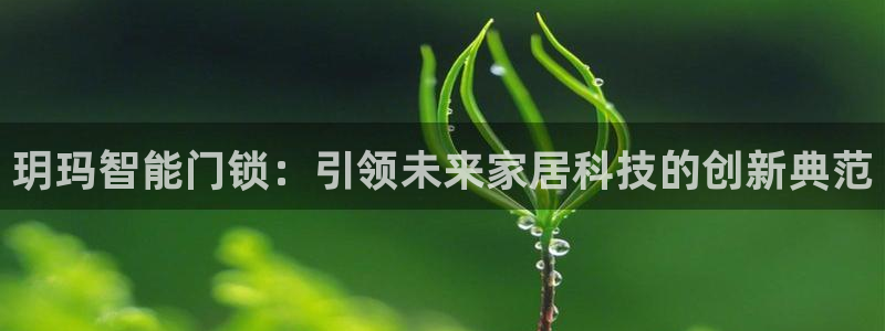 开丰娱乐官网最新消息：玥玛智能门锁：引领未来家居科技的创新典