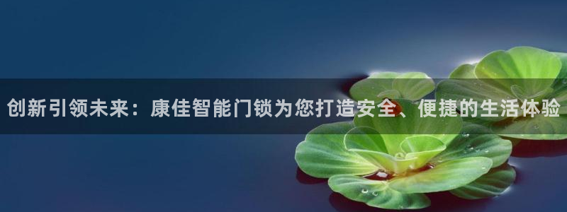 开丰娱乐网站：创新引领未来：康佳智能门锁为您打造安全、便捷的