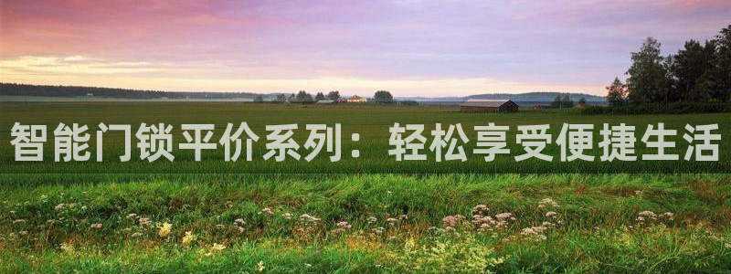 开丰娱乐下载安装：智能门锁平价系列：轻松享受便捷生活