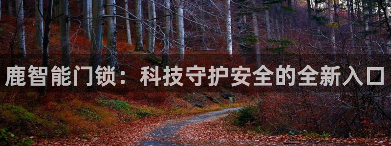开丰娱乐后7O667：鹿智能门锁：科技守护安全的全新入口