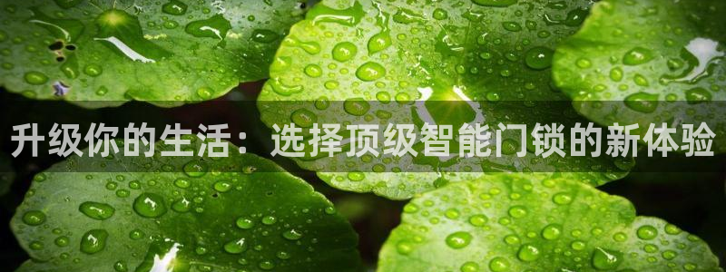 如何注册开丰娱乐账号：升级你的生活：选择顶级智能门锁的新体验