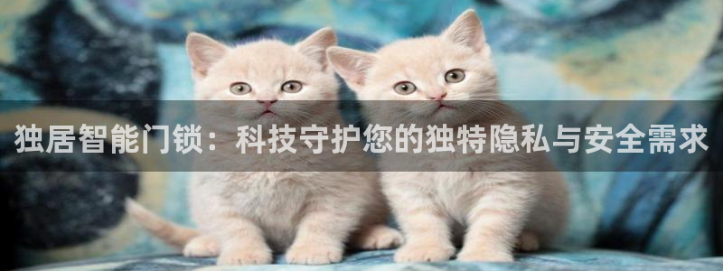 开丰娱乐线路：独居智能门锁：科技守护您的独特隐私与安全需求