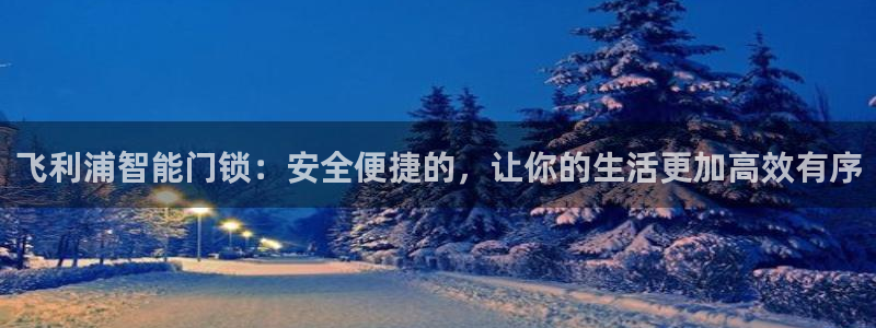 开丰娱乐寸67五壹叁八：飞利浦智能门锁：安全便捷的，让你的生