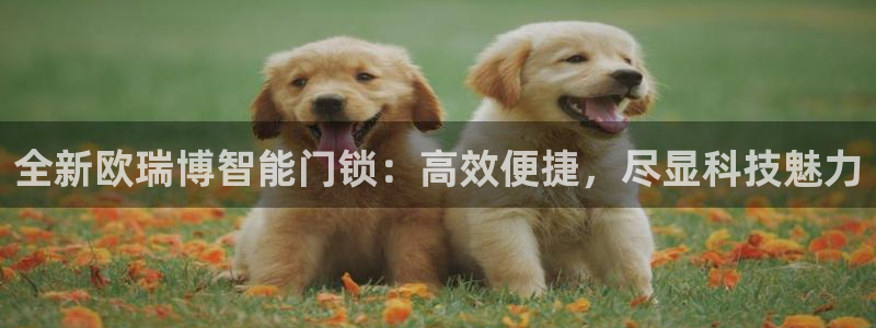 开丰娱乐登录平台下载：全新欧瑞博智能门锁：高效便捷，尽显科技