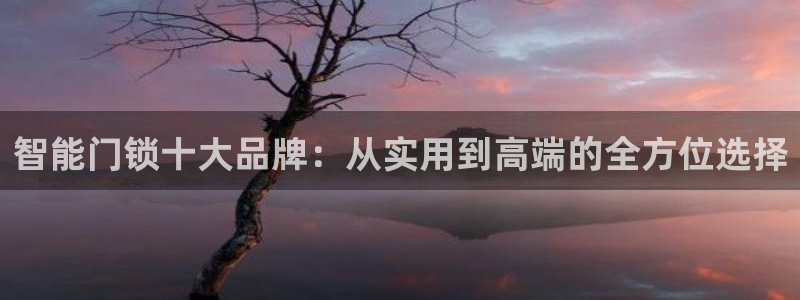 开丰娱乐下载安装：智能门锁十大品牌：从实用到高端的全方位选择