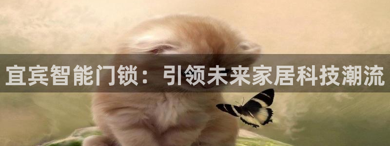开丰娱乐登入地址在哪：宜宾智能门锁：引领未来家居科技潮流