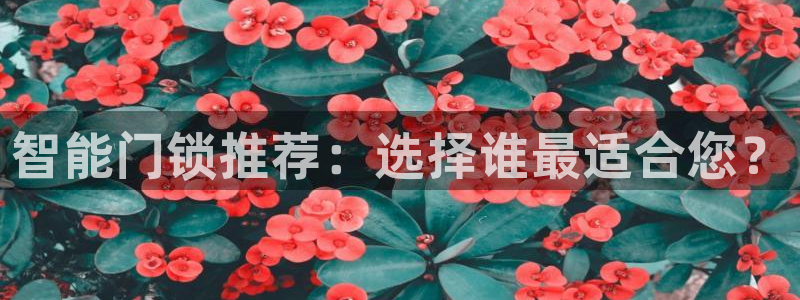 开丰娱乐开户：智能门锁推荐：选择谁最适合您？