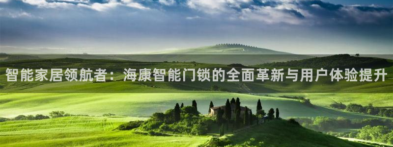 开丰娱乐平台地址：智能家居领航者：海康智能门锁的全面革新与用