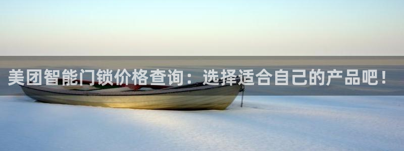 开丰娱乐上：美团智能门锁价格查询：选择适合自己的产品吧！