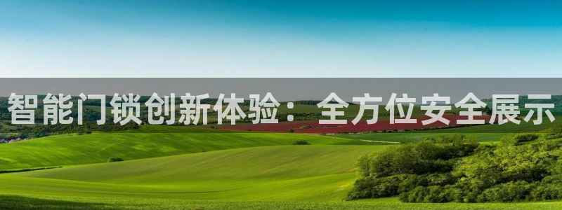 开丰娱乐寸六七五一38：智能门锁创新体验：全方位安全展示