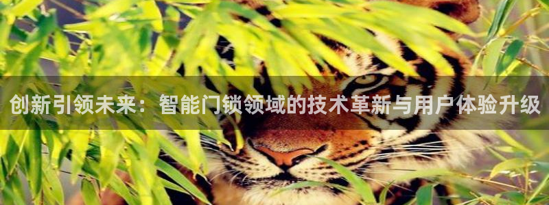 开丰娱乐登录平台：创新引领未来：智能门锁领域的技术革新与用户