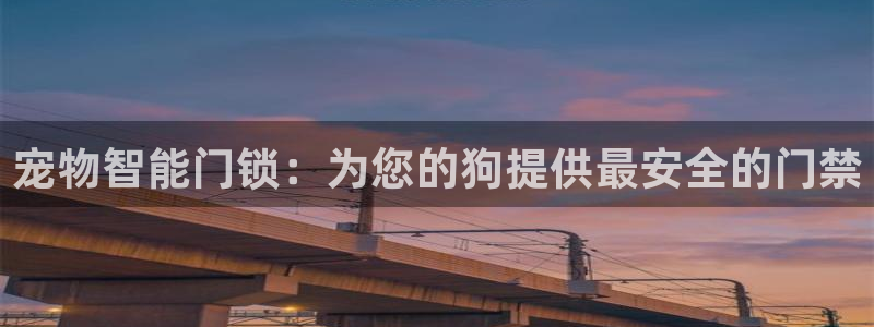 开丰娱乐与六七五一38：宠物智能门锁：为您的狗提供最安全的门