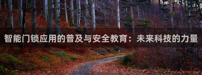 开丰娱乐网站官网入口：智能门锁应用的普及与安全教育：未来科技