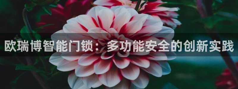 开丰娱乐日：欧瑞博智能门锁：多功能安全的创新实践