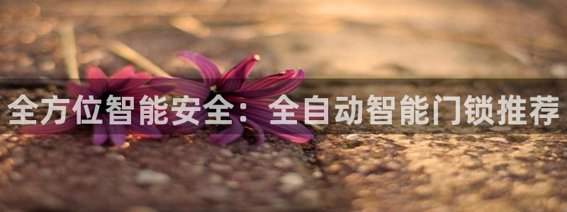 开丰娱乐平台注册时间：全方位智能安全：全自动智能门锁推荐