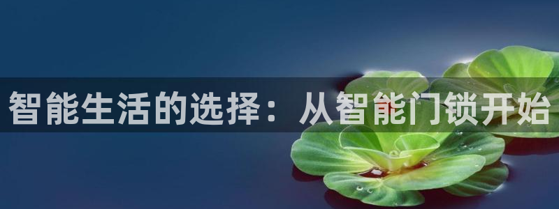 开丰娱乐官网平台电话