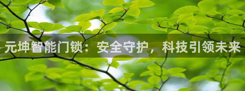 开丰娱乐地址：元坤智能门锁：安全守护，科技引领未来