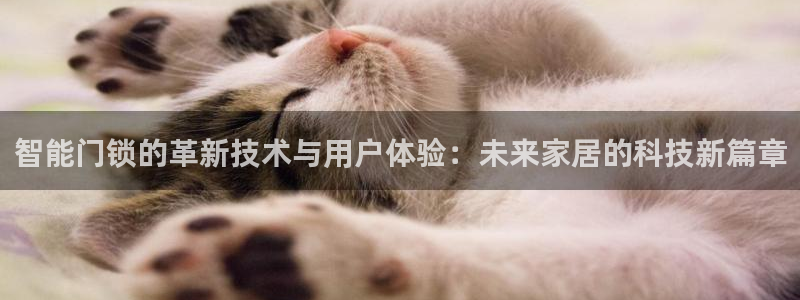 圩丰刚开的娱乐场所：智能门锁的革新技术与用户体验：未来家居的