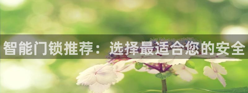 开丰娱乐平台地址查询：智能门锁推荐：选择最适合您的安全