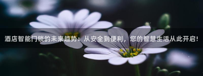 开丰娱乐平台登录网址：酒店智能门锁的未来趋势：从安全到便利，