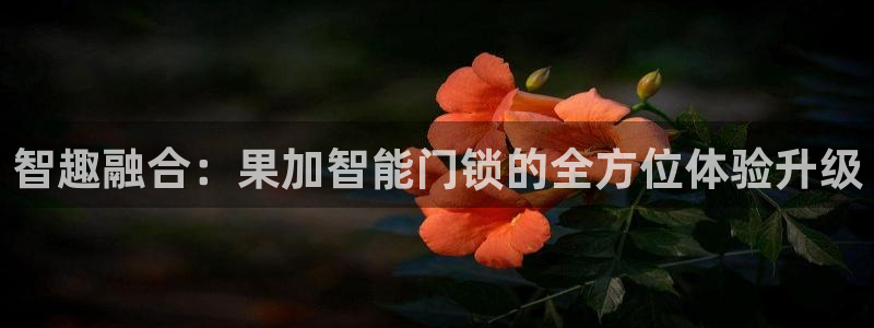 开丰娱乐登陆地址：智趣融合：果加智能门锁的全方位体验升级