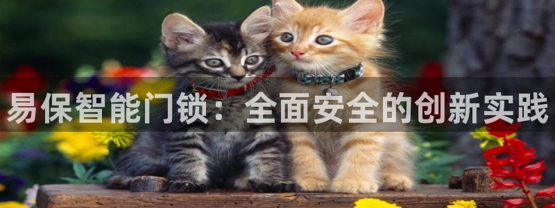 开丰娱乐登录地址入口：易保智能门锁：全面安全的创新实践