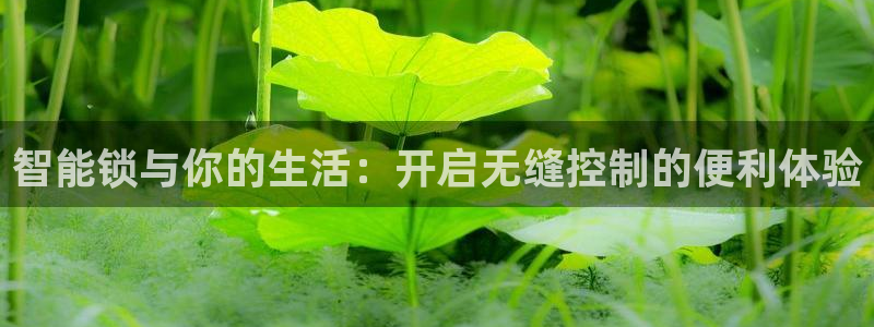 开丰娱乐新登录平台：智能锁与你的生活：开启无缝控制的便利体验