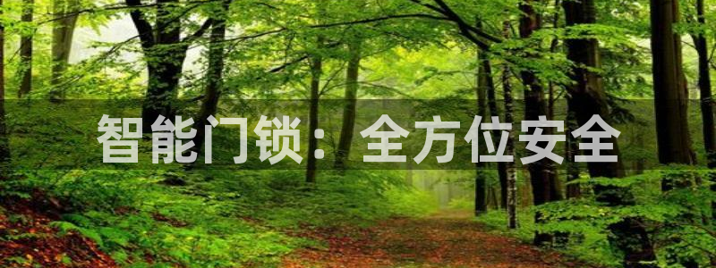 开丰娱乐怎么样：智能门锁：全方位安全