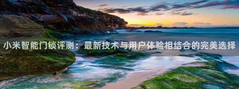 开丰娱乐登陆：小米智能门锁评测：最新技术与用户体验相结合的完